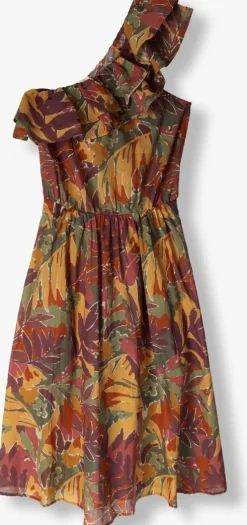 multi louizon midi jurk saguaro