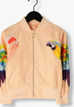 multi molo jack haliva