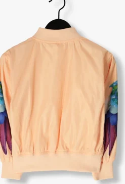 multi molo jack haliva