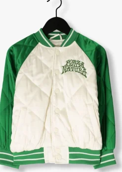 multi molo jack haru