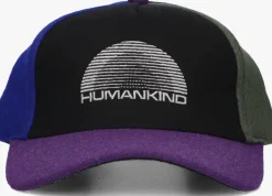 multi molo pet skill