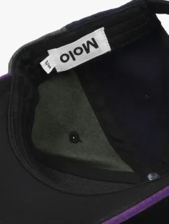 multi molo pet skill