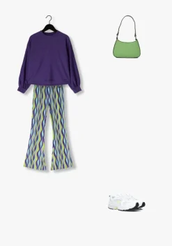 multi raizzed flared broek rae