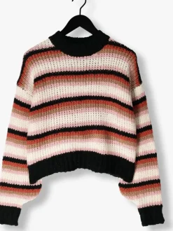multi ydence trui knitted sweater meggie