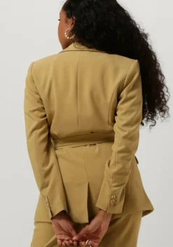 olijf aaiko blazer perize vis 333