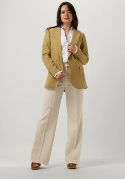 olijf aaiko blazer perize vis 333