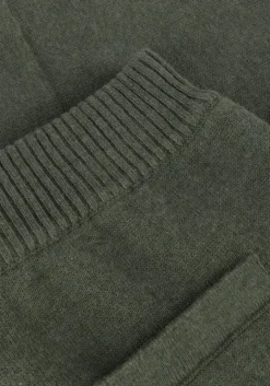 olijf baje studio korte broek moi