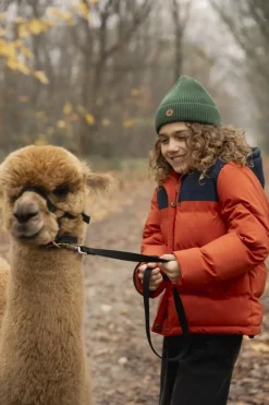 oranje ammehoela gewatteerde jas xavi