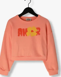 oranje ammehoela sweater yara