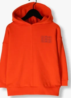 oranje ammehoela trui ernest