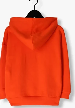 oranje ammehoela trui ernest