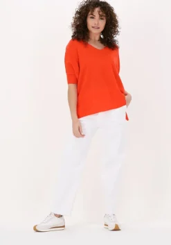 oranje not shy trui aimee