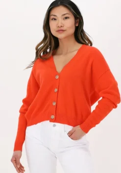 oranje not shy vest juana