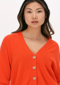 oranje not shy vest juana