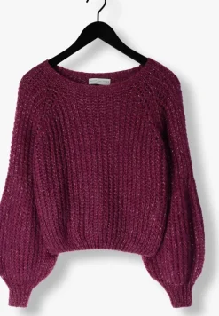 paarse amaya amsterdam trui ace