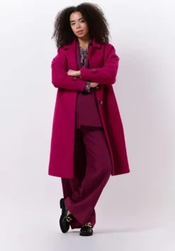 paarse catwalk junkie blouses bl dawn flowers