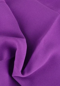 paarse co'couture pantalon new flash wide pant