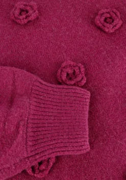 paarse fabienne chapot trui josefin pullover