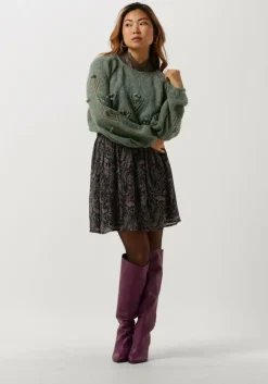 paarse louizon minirok changes jupe