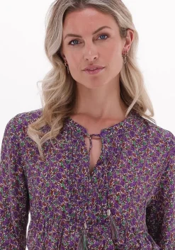 paarse moliin blouses ivy