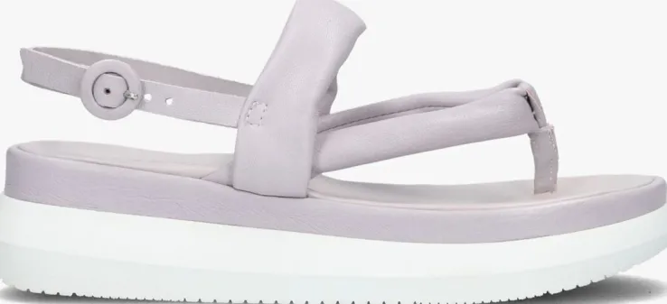 paarse omoda platte sandalen m38031