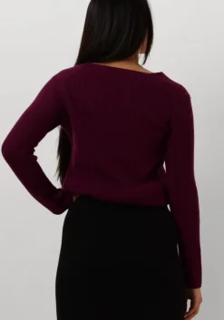 paarse resort finest trui v-neck rib knit