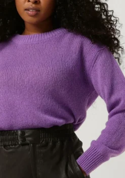 paarse vanessa bruno trui vinca pull col montant