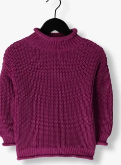 paarse your wishes trui knit virginia