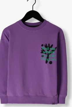 paarse z8 sweater timon