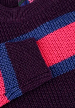 paarse z8 trui belezza 1