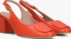 rode lina locchi slingbacks 010-150