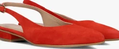 rode lina locchi slingbacks 010-72