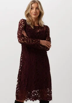 rode vanilia midi jurk lace midi dress