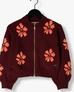 rode vingino vest maniek