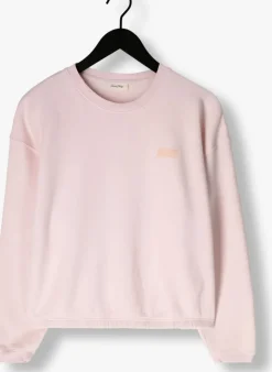 roze american vintage sweater izubird d