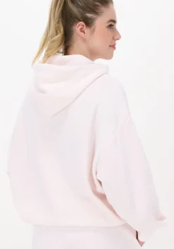 roze champion trui hooded sweatshirt dms plain