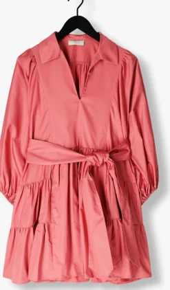 roze devotion mini jurk precious