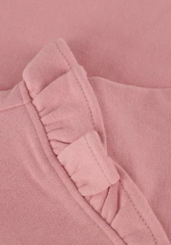 roze labo de colores sweater cua
