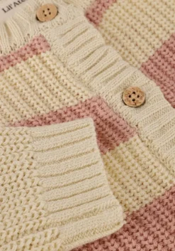 roze lil' atelier trui nbfemlen knit card stripe lil