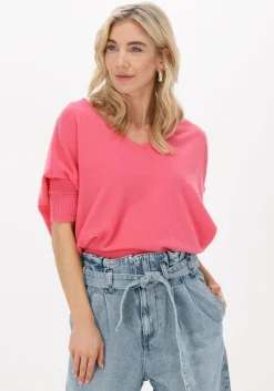 roze not shy trui aimee