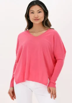 roze not shy trui faustine