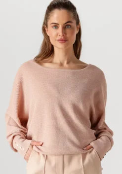 roze nukus top batwing pullover lurex