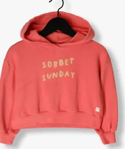 roze sproet & sprout truien/vesten cropped hooded sweatshirt