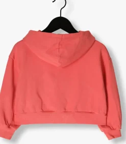 roze sproet & sprout truien/vesten cropped hooded sweatshirt