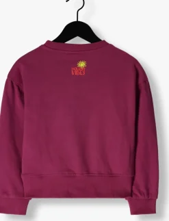 roze vingino sweater nolita