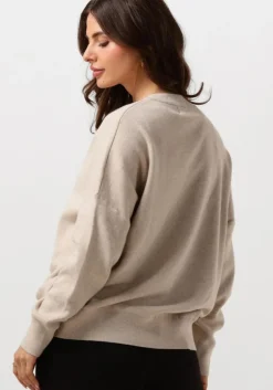 taupe inwear trui fosteriw v-neck