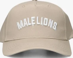 taupe malelions pet paint cap