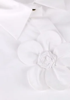 witte caroline biss blouses 1616