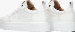 witte clay lage sneakers lpivar-18