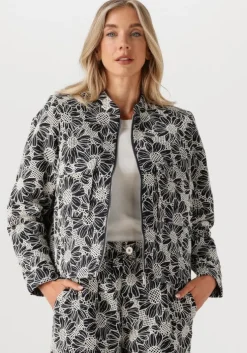 witte ibana jack jaidy